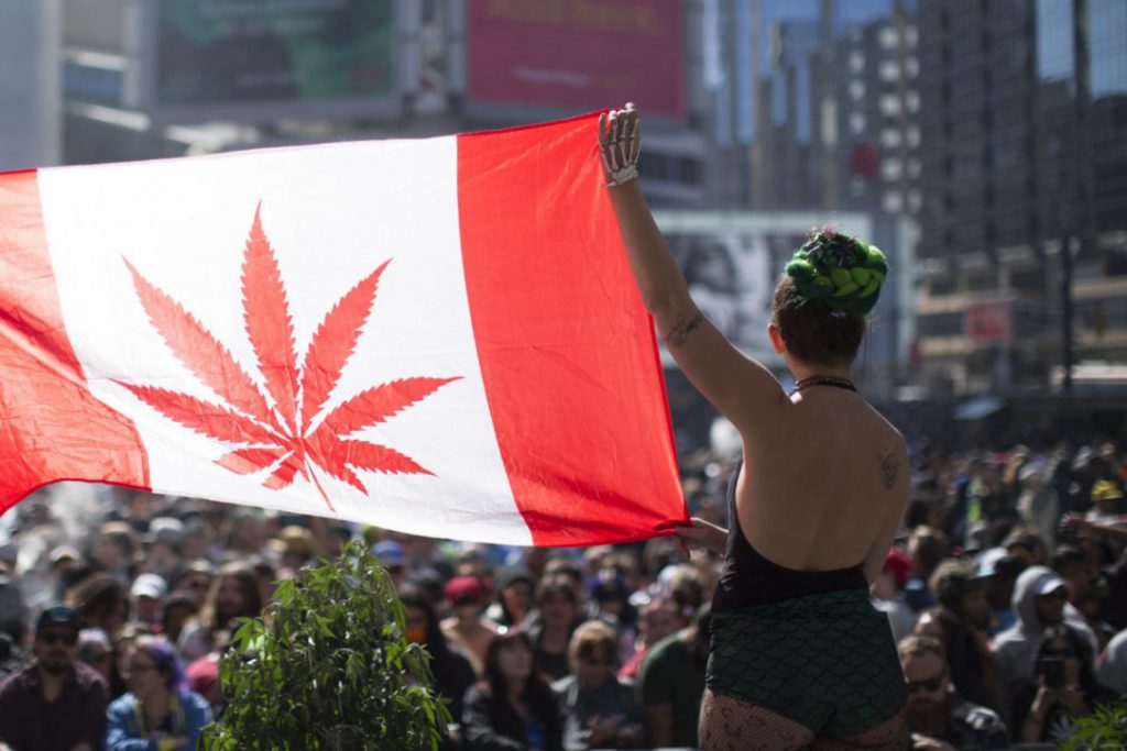 カナダ大麻合法化の画像